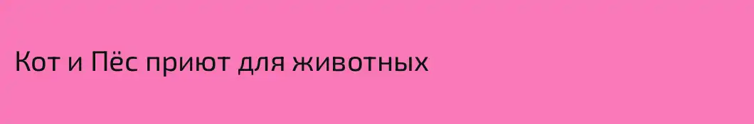 Кот и Пёс приют для животных